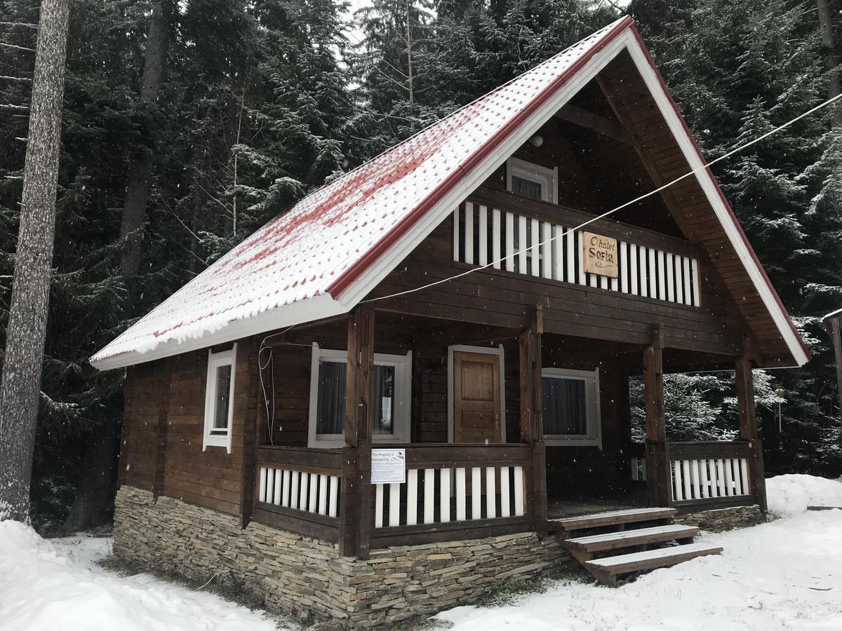Chalet Sofia Borovets Exterior photo